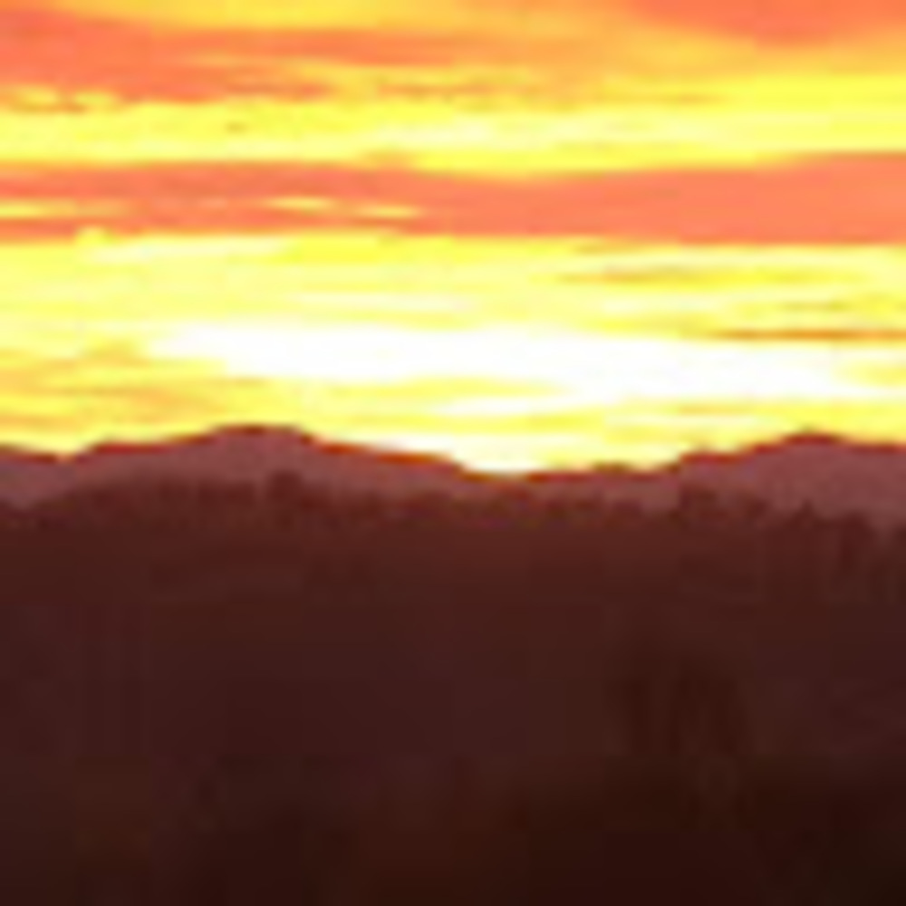 Meet your Posher, Lura